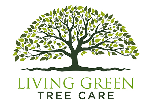 Living Green Tree Care